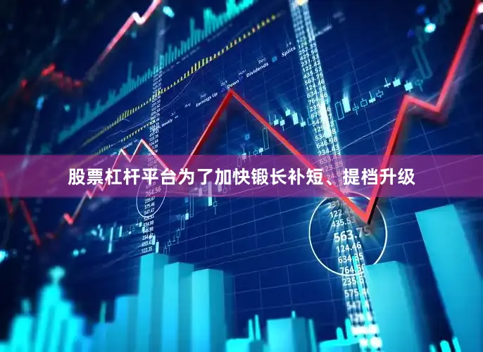 股票杠杆平台为了加快锻长补短、提档升级