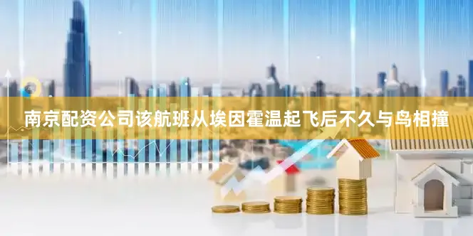 南京配资公司该航班从埃因霍温起飞后不久与鸟相撞