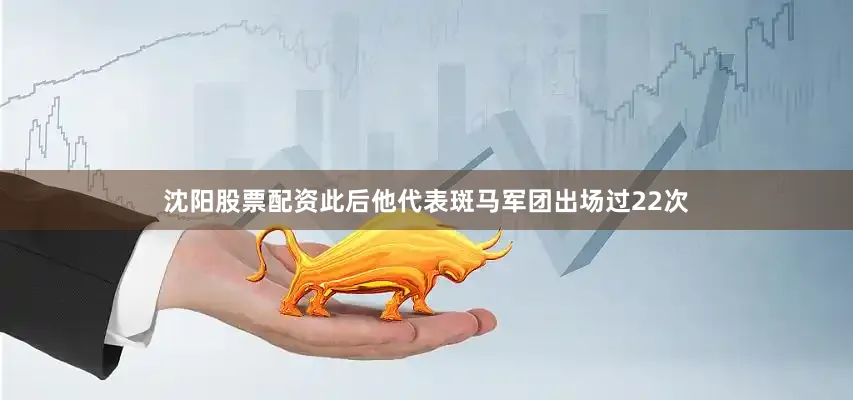 沈阳股票配资此后他代表斑马军团出场过22次
