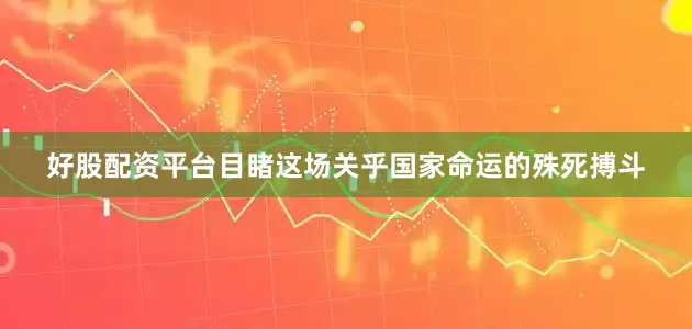 好股配资平台目睹这场关乎国家命运的殊死搏斗