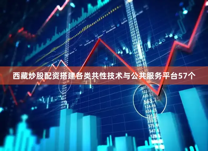 西藏炒股配资搭建各类共性技术与公共服务平台57个