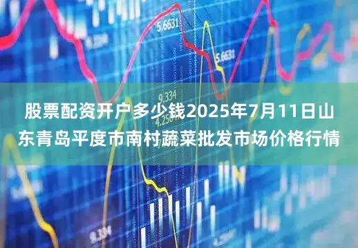 股票配资开户多少钱2025年7月11日山东青岛平度市南村蔬菜批发市场价格行情