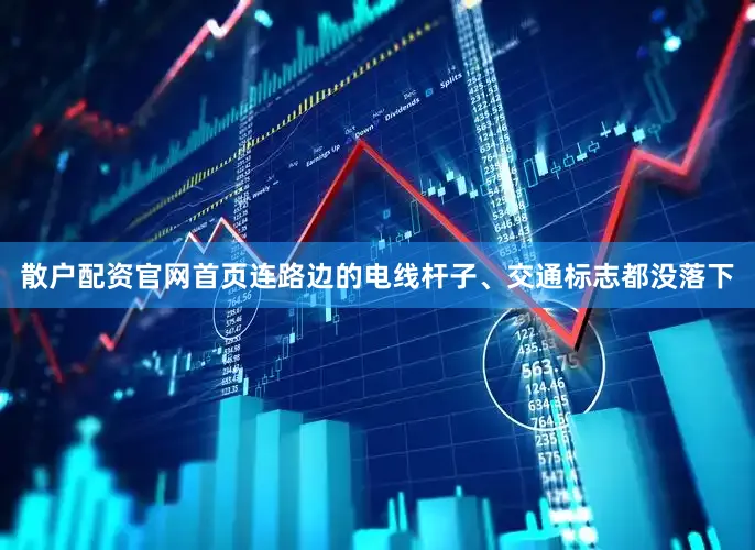 散户配资官网首页连路边的电线杆子、交通标志都没落下