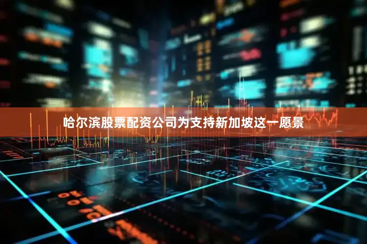哈尔滨股票配资公司为支持新加坡这一愿景