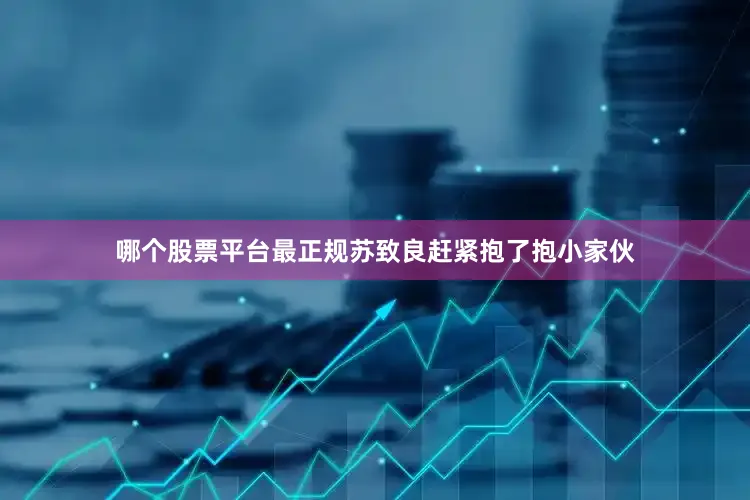 哪个股票平台最正规苏致良赶紧抱了抱小家伙