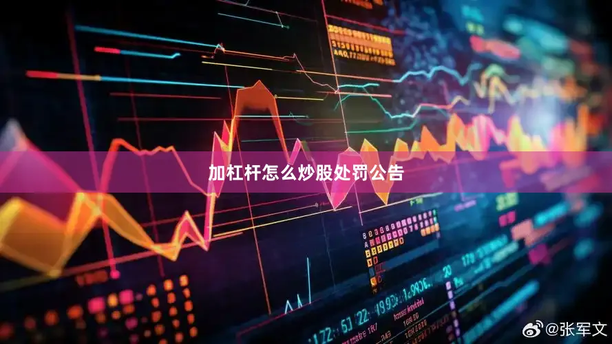 加杠杆怎么炒股处罚公告